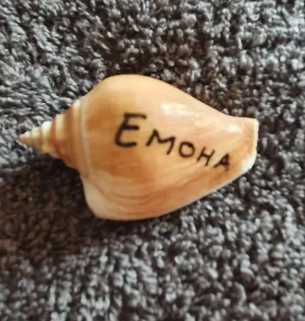 бутикови емона * رافدا
