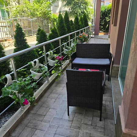 бутикови емона * 拉夫达