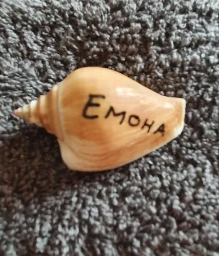 бутикови емона * Ravda