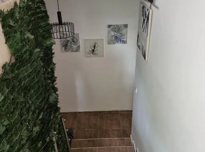 бутикови емона Lejlighed